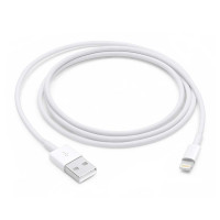 Apple Lightning to USB Cable (1 m)